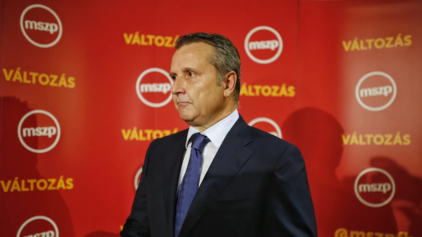 népszavazás 2016 kvótareferendum Molnár Gyula MSZP 