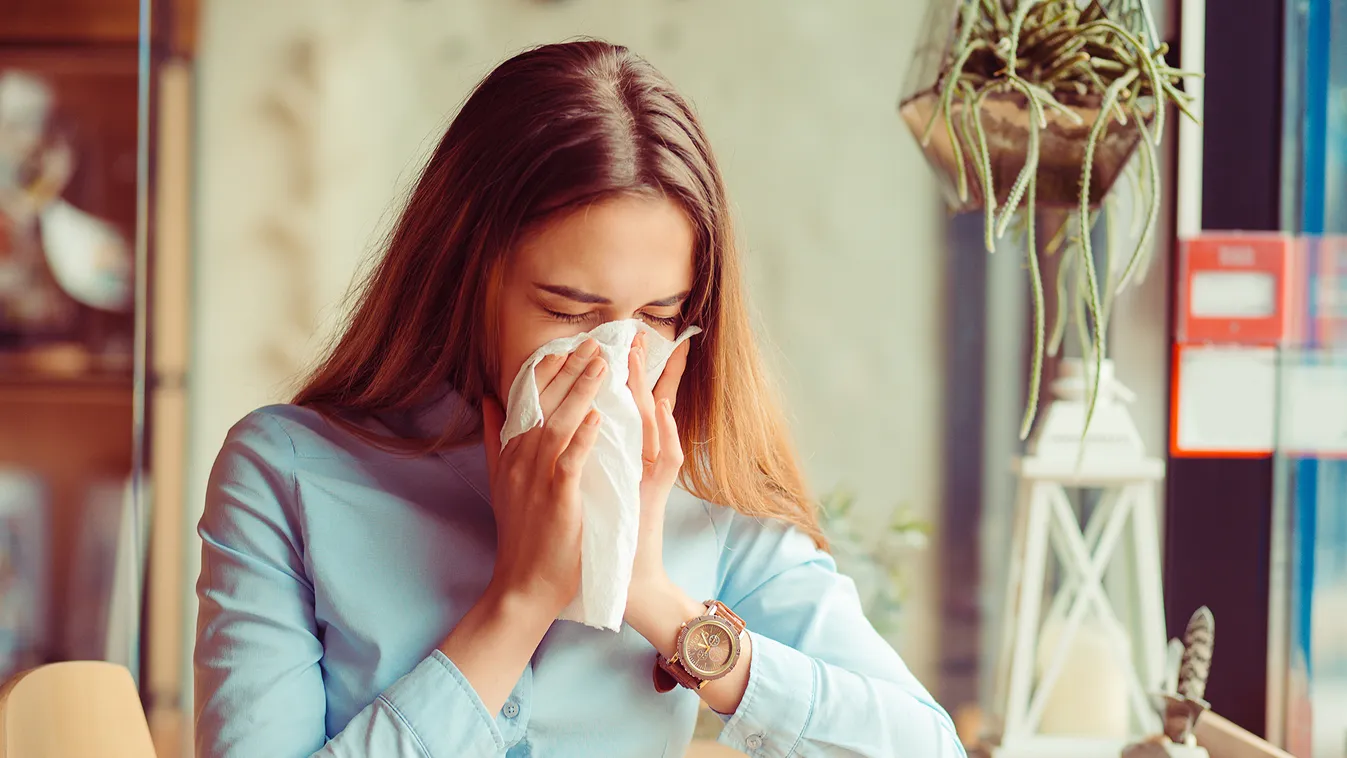 Megfázás vagy allergia? Így tudod megkülönböztetni őket egymástól 
