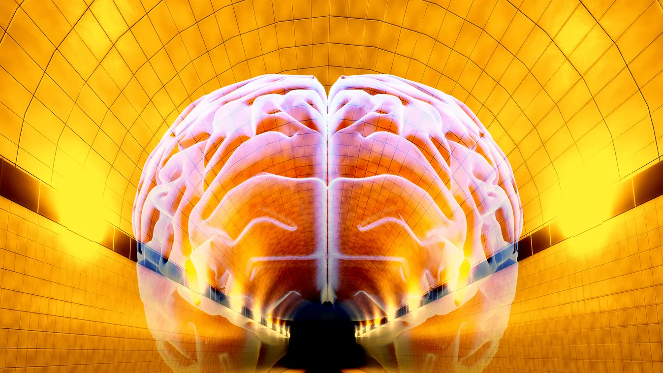pánikbetegség Brain in Tunnel, psychological state ARTWORK ILLUSTRATION HUMAN HEALTH HEALTHCARE MEDICINE WHITE BACKGROUND HUMAN BRAIN MEDICAL TUNNEL DIMINISHING PERSPECTIVE DISTANCE PSYCHOLOGY MENTAL STATE MENTAL HEALTH VIEWPOINT N 