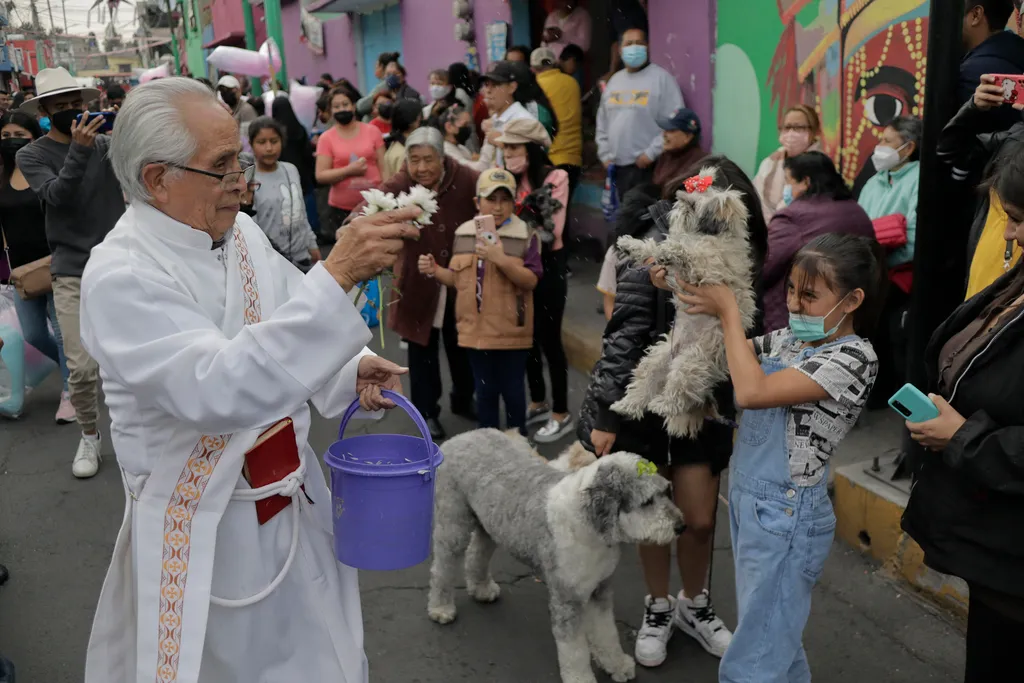 Blessing Of Animals In Mexico On The Occasion Of San Antonio Abad Blessing of animals in Mexico on the occasion of San Antonio Aba San Antonio Abad Mexico City Coyoacán Culhuacán CDMX HUM Human interest Animals Faith Traditions Culture Parish Dogs Birds C