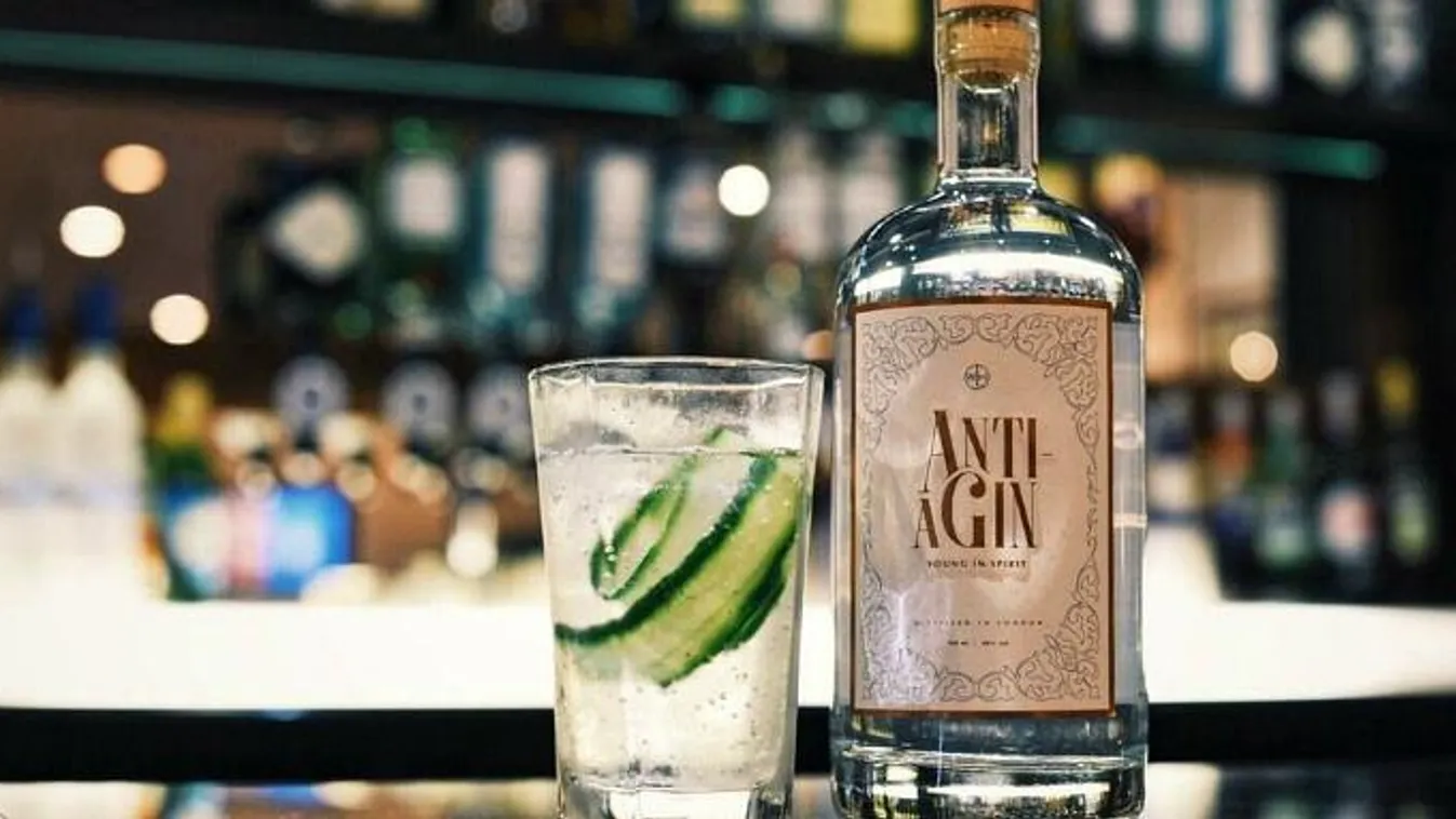 gin 