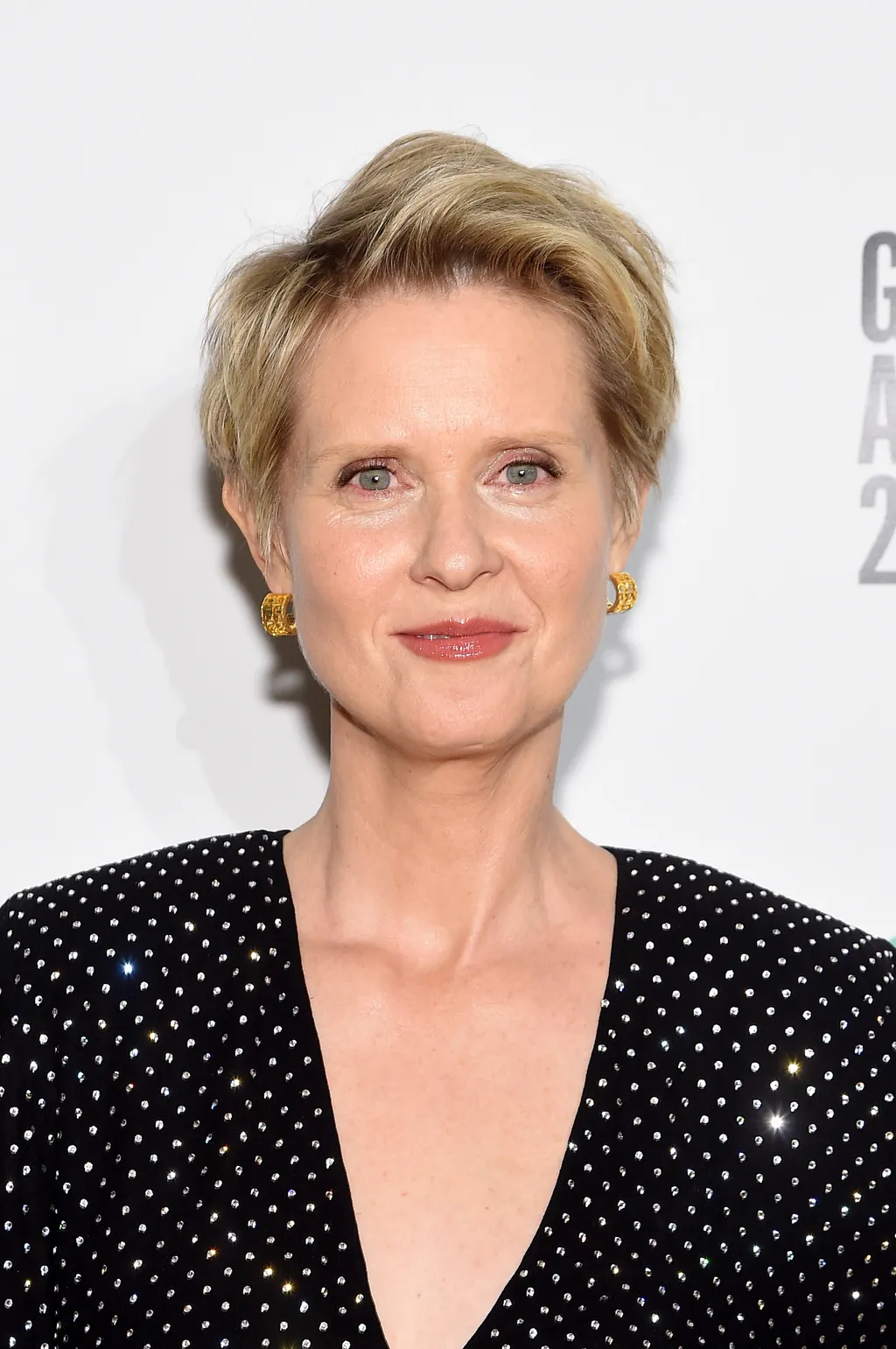 IFP's 28th Annual Gotham Independent Film Awards - Backstage GettyImageRank3 People VERTICAL Looking At Camera SMILING USA New York City Wall Street - Lower Manhattan One Person BACKSTAGE PORTRAIT Photography Cynthia Nixon Cipriani - Manhattan Arts Cultur