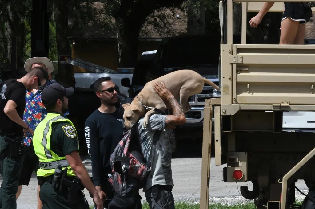 Florida, Idalia hurrikán, időjárás, 
  Hurricane Idalia Strikes Gulf Coast of Florida Citrus County Sheriff,Crystal River,Dog,flood,Flooding,Florida,G Horizontal 