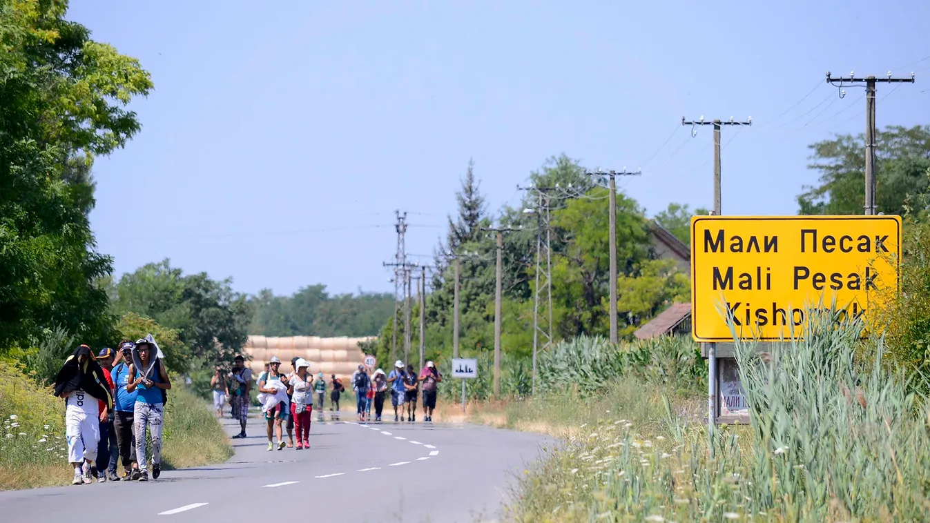 Kishomok, 2015. július 22.
Migránsok gyalogolnak a hőségben Magyarkanizsa felé a szerbiai Kishomok határában 2015. július 22-én.
MTI Fotó: Molnár Edvárd 