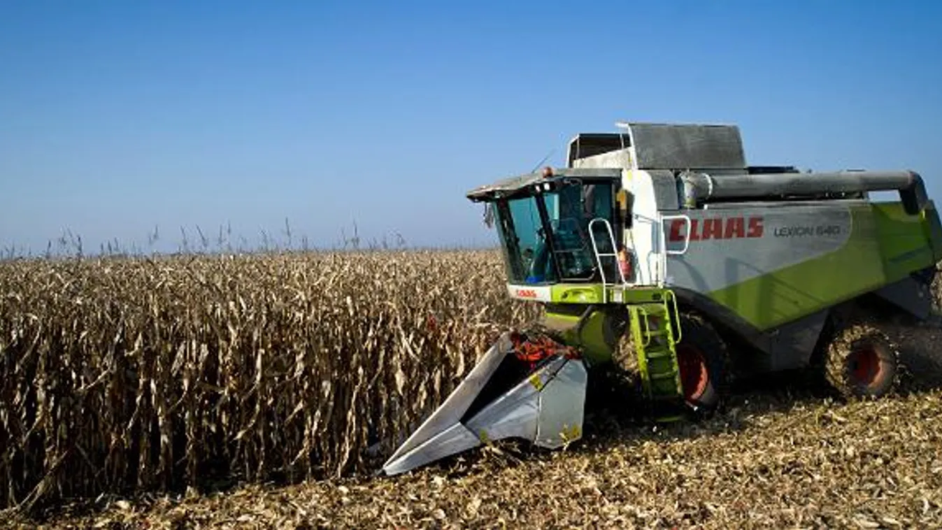 állami zöldbank, mezőgazdasági finanszírozás, Egy csőtörő adapterrel felszerelt Claas Lexion 540 típusú kombájn kukoricát vág Orosháza határában, 2010. október 11-én 