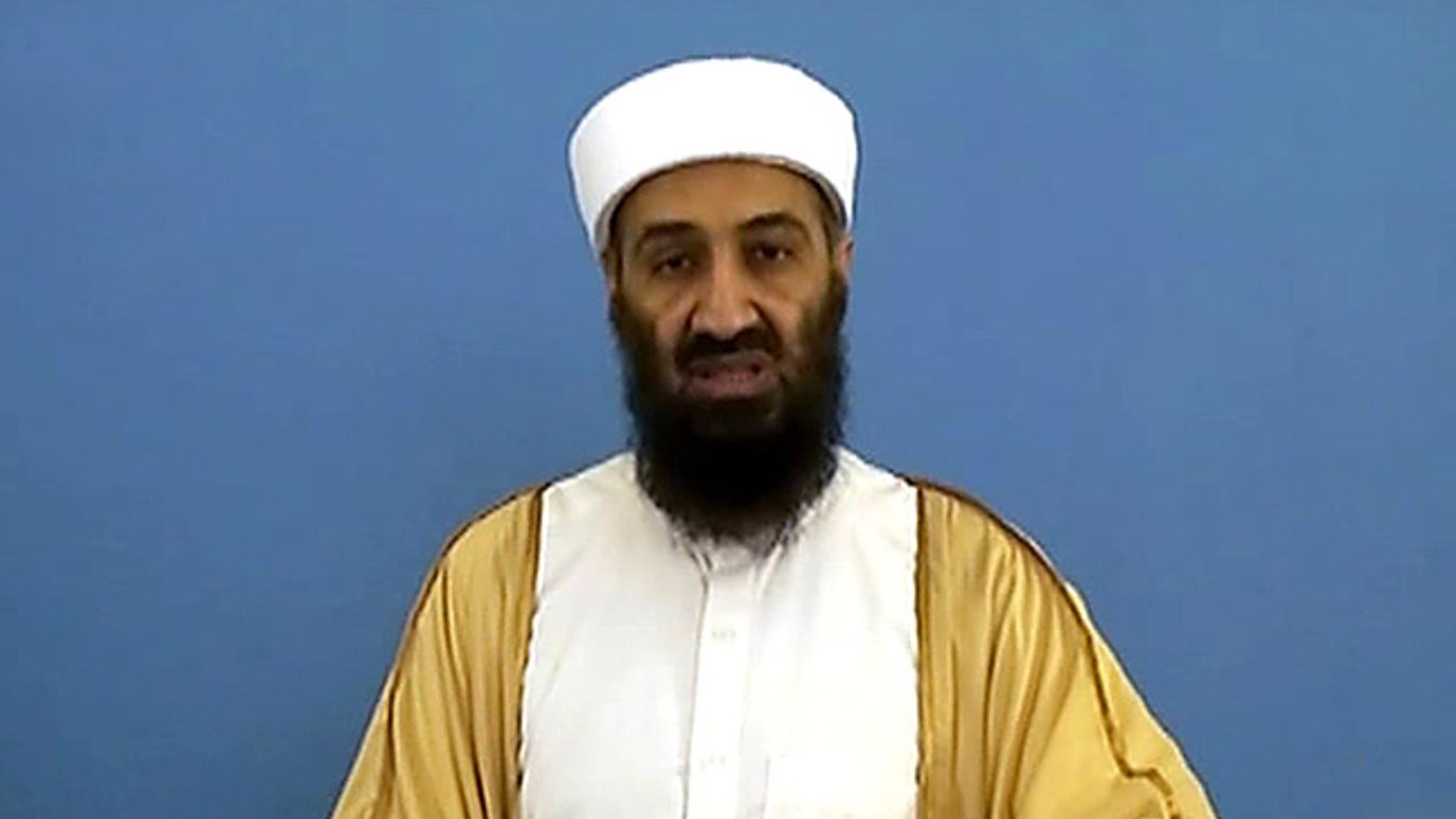 2011 politikai bukásai, Oszama bin Laden, Al Kaida 