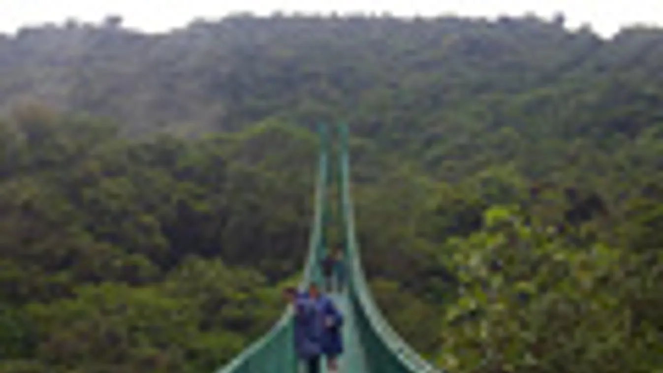 A Costa Rica-i Monteverde felhőerdői, A Selvatura Park függőhídja