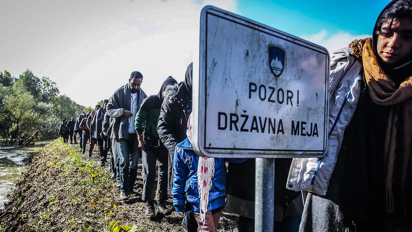 Refugees in Slovenia Refugees Slovenia Dobova Migrant crisis Refugee crisis European refugee crisis 2015 SQUARE FORMAT RIGONCE, SLOVENIA - OCTOBER 20: Refugees walk towards a refugee camp after crossing the green border between Slovenia and Croatia in Rig