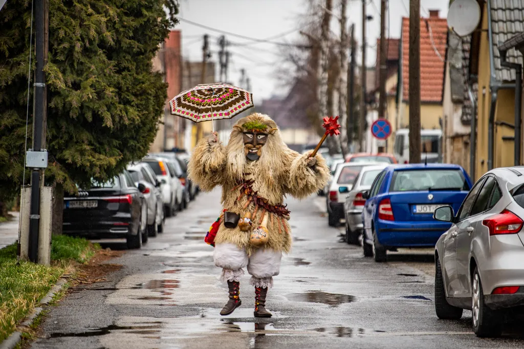 Busójárás, Mohács, 2022 