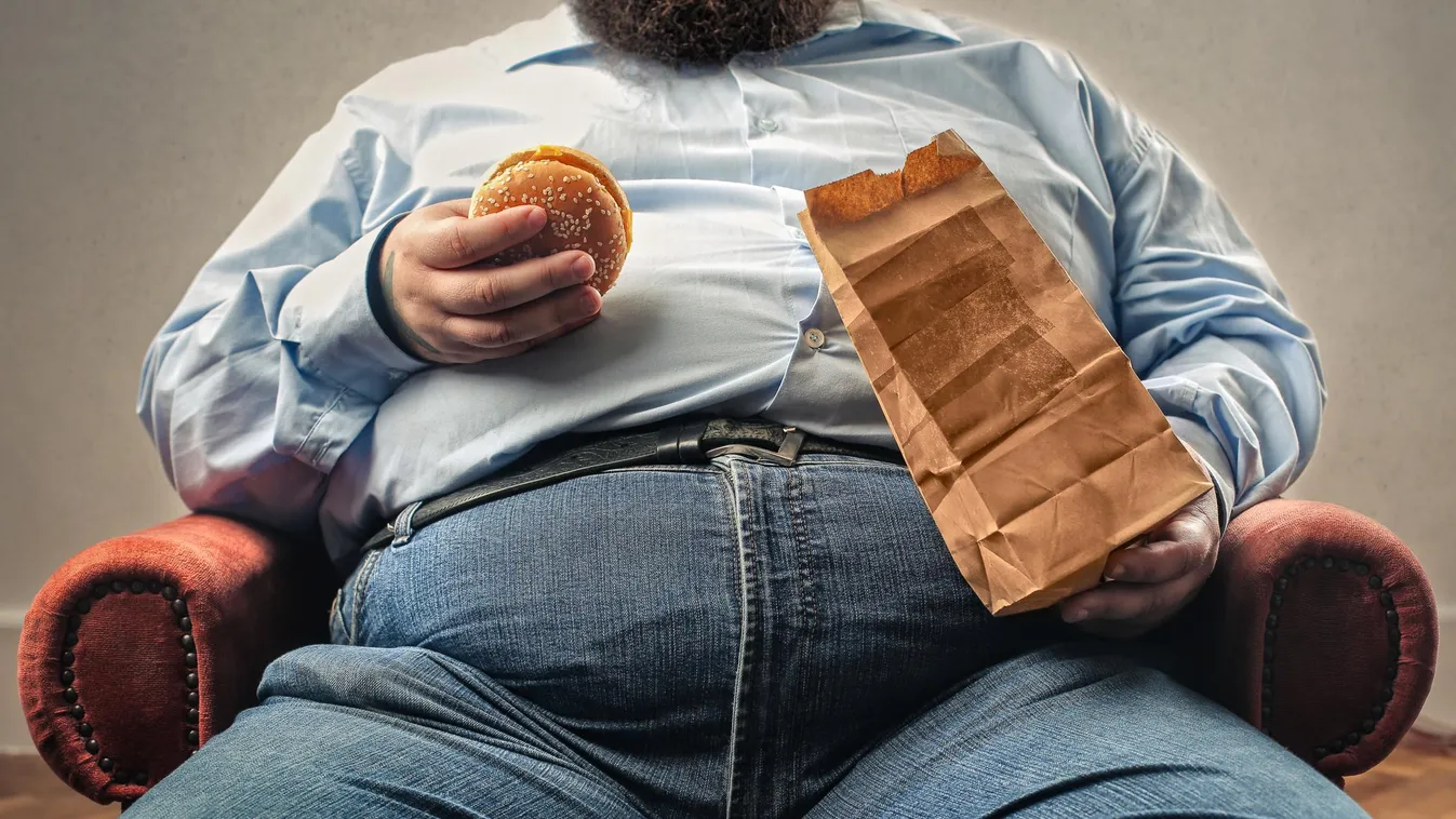 elhízás túlsúly kövér kövérség 