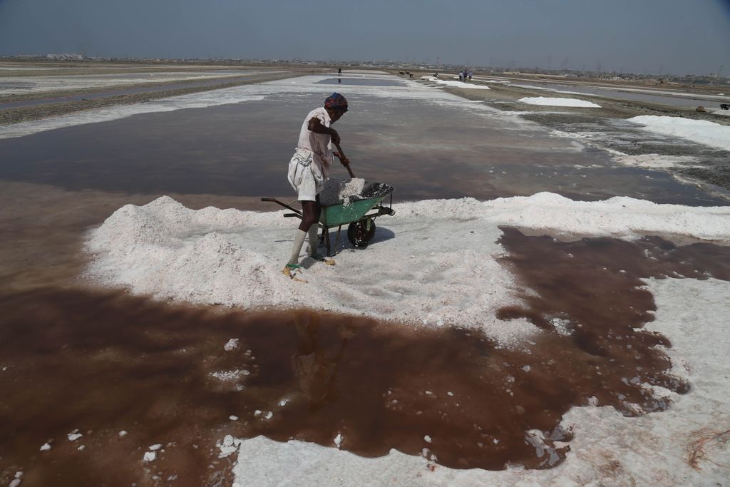 Tengeri só kitermelése Pakisztánban, só, tengeri 