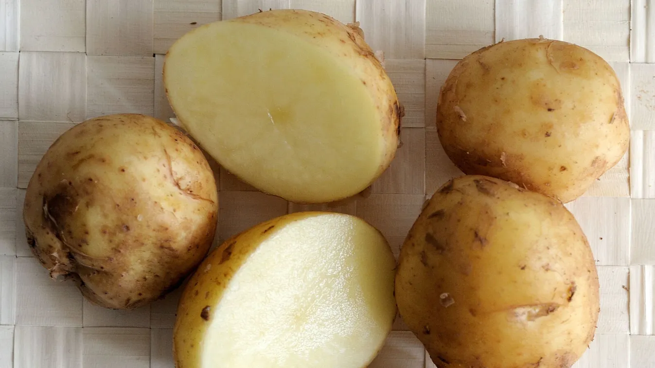 burgonya, krumpli, a világ legdrágább burgonyája, Bonnotte 