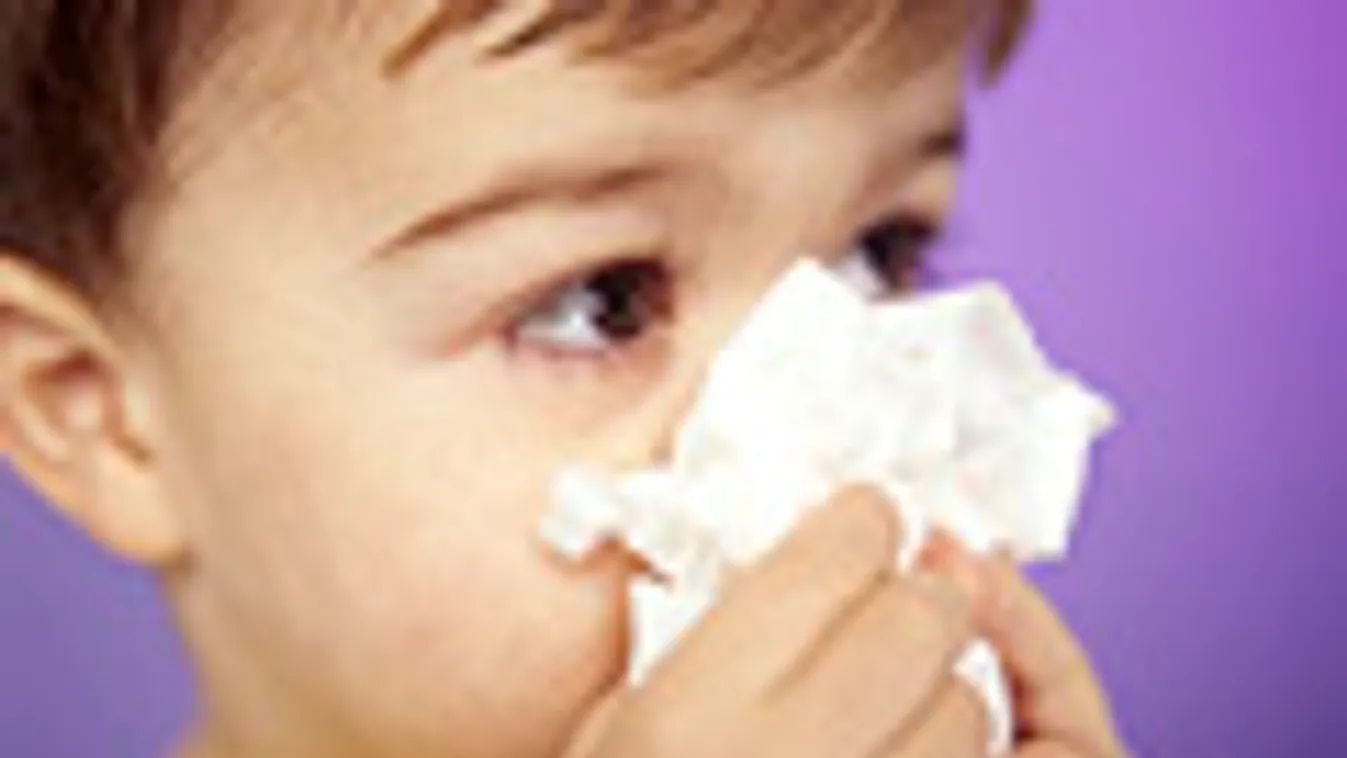 Allergia, pollenalergia, orrfújó gyerek 
