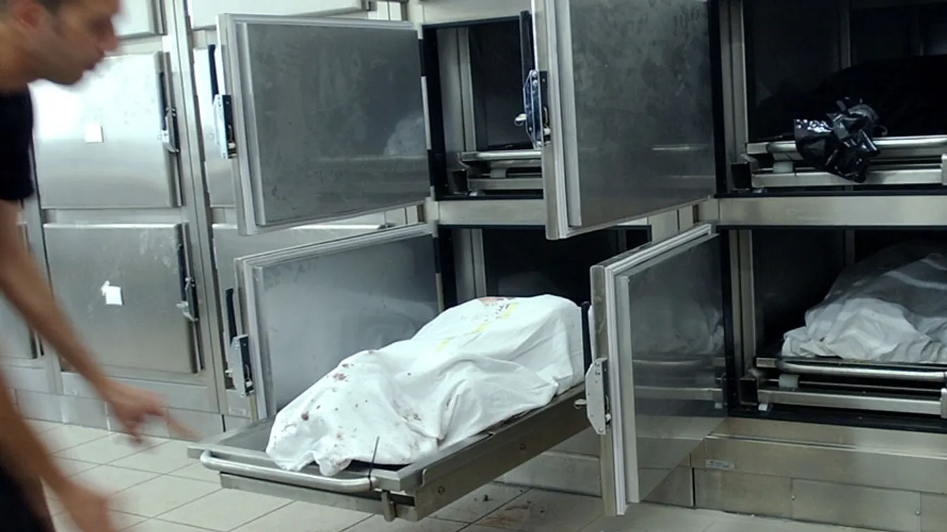boncterem, hűtőkamra egy bejrúti kórházban