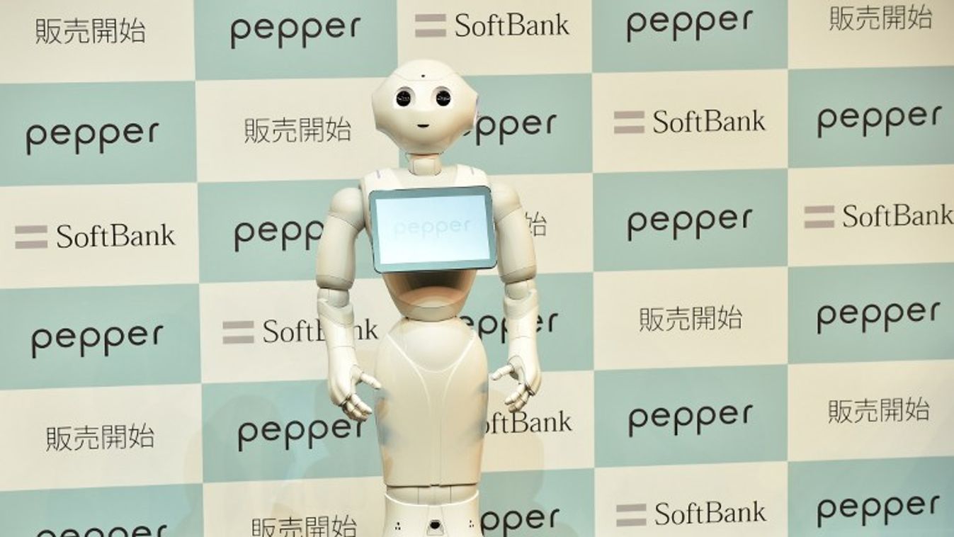 pepper humanoid robot japan 