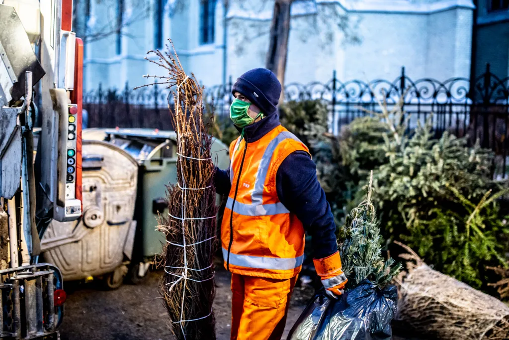 karácsonyfák elszállítása, Budapest, 2021.01.11. 