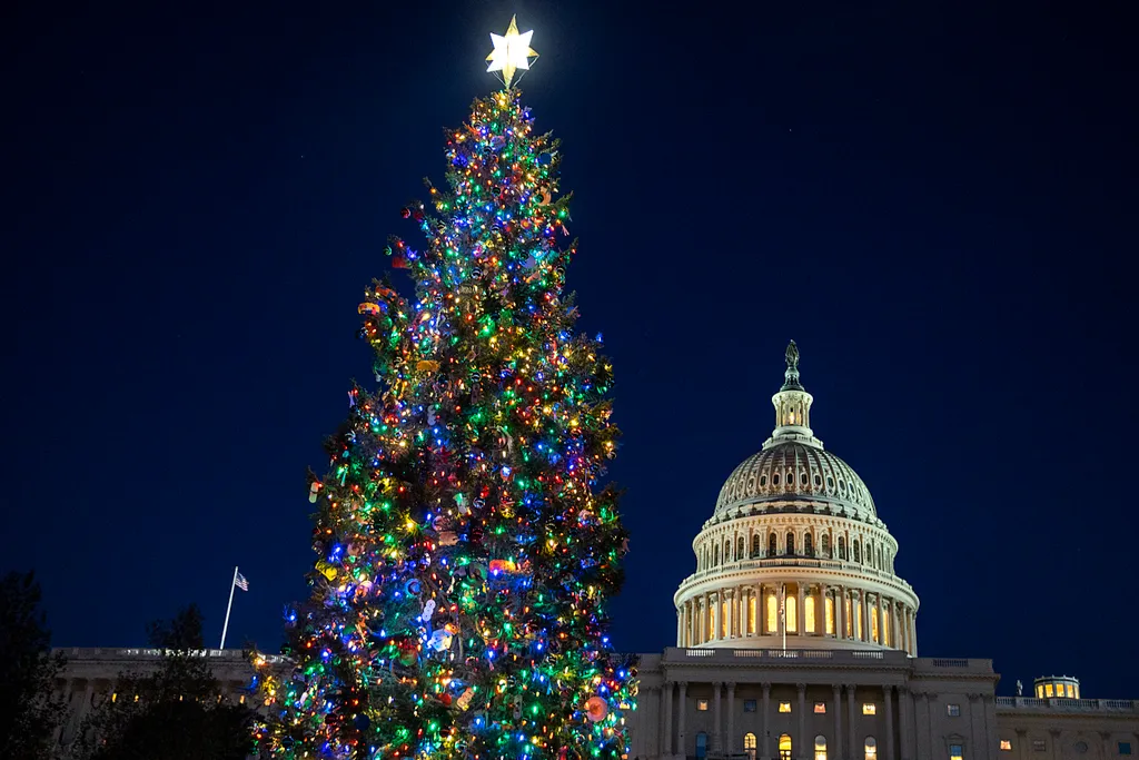 Top 10 legdrágább karácsonyfa  Washington DC Capitol Christmas Tree 
  Speaker Pelosi Hosts US Capitol Christmas Tree Lighting Ceremony GettyImageRank1 Color Image HORIZONTAL POLITICS GOVERNMENT human interest bestof topix 