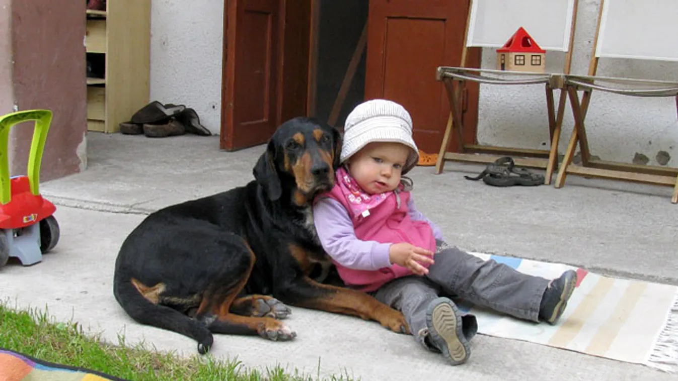kutya és gyerek 