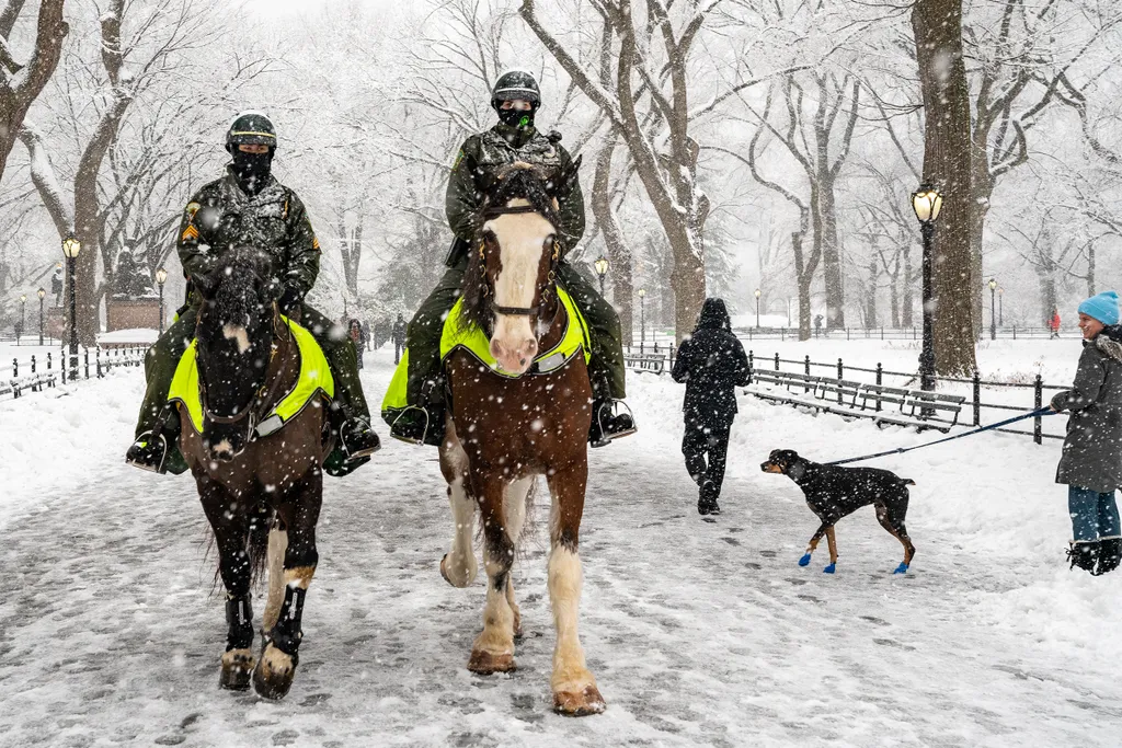 Second Snowstorm Hits New York City In Less Than A Week GettyImageRank2 Color Image HORIZONTAL weather NEW YORK, NY - FEBRUARY 07: Two members of the NYPD elite mounted unit patrol in Central Park during a snow storm on February 7, 2021 in New York City. 