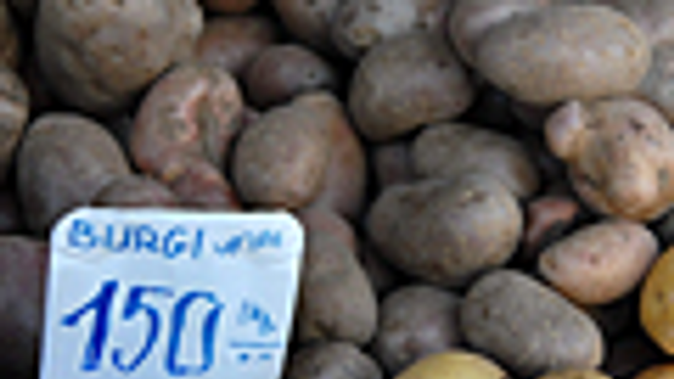 burgonya, krumpli, emelkedik a krumpli ára, áremelés