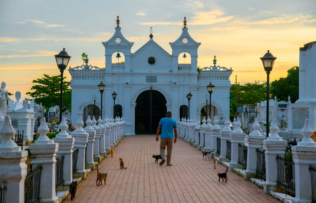 Santa Cruz de Mompox temető macskák 