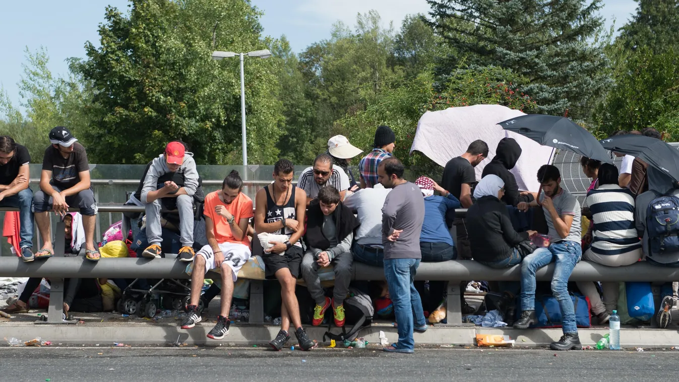 Németország menekültek, migráns 