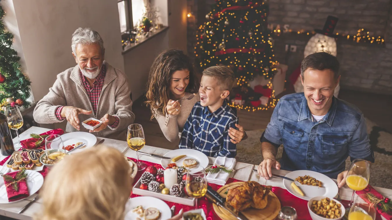 christmas family dinner eating food drink mother father grandmother grandfather children son husband wife man woman wine lunch love holiday winter festive celebration December new year meal six people person Caucasian happy cheerful smiling beautiful chri