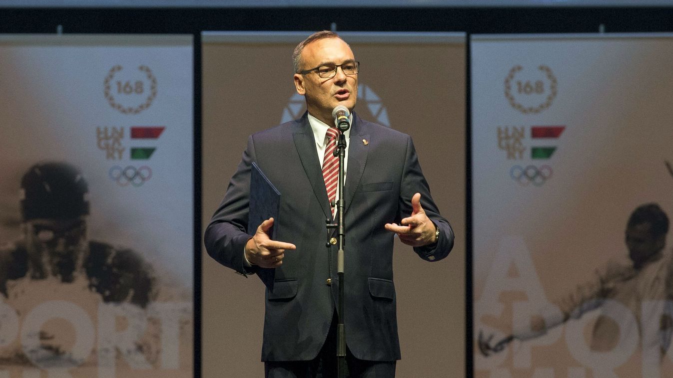 Borkai Zsolt, a Magyar Olimpiai Bizottság (MOB) elnöke 