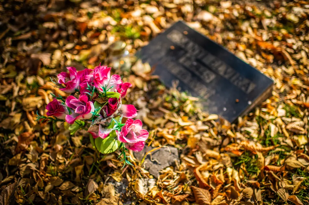 temető Mindenszentek halottak napja ősz Új köztemető 