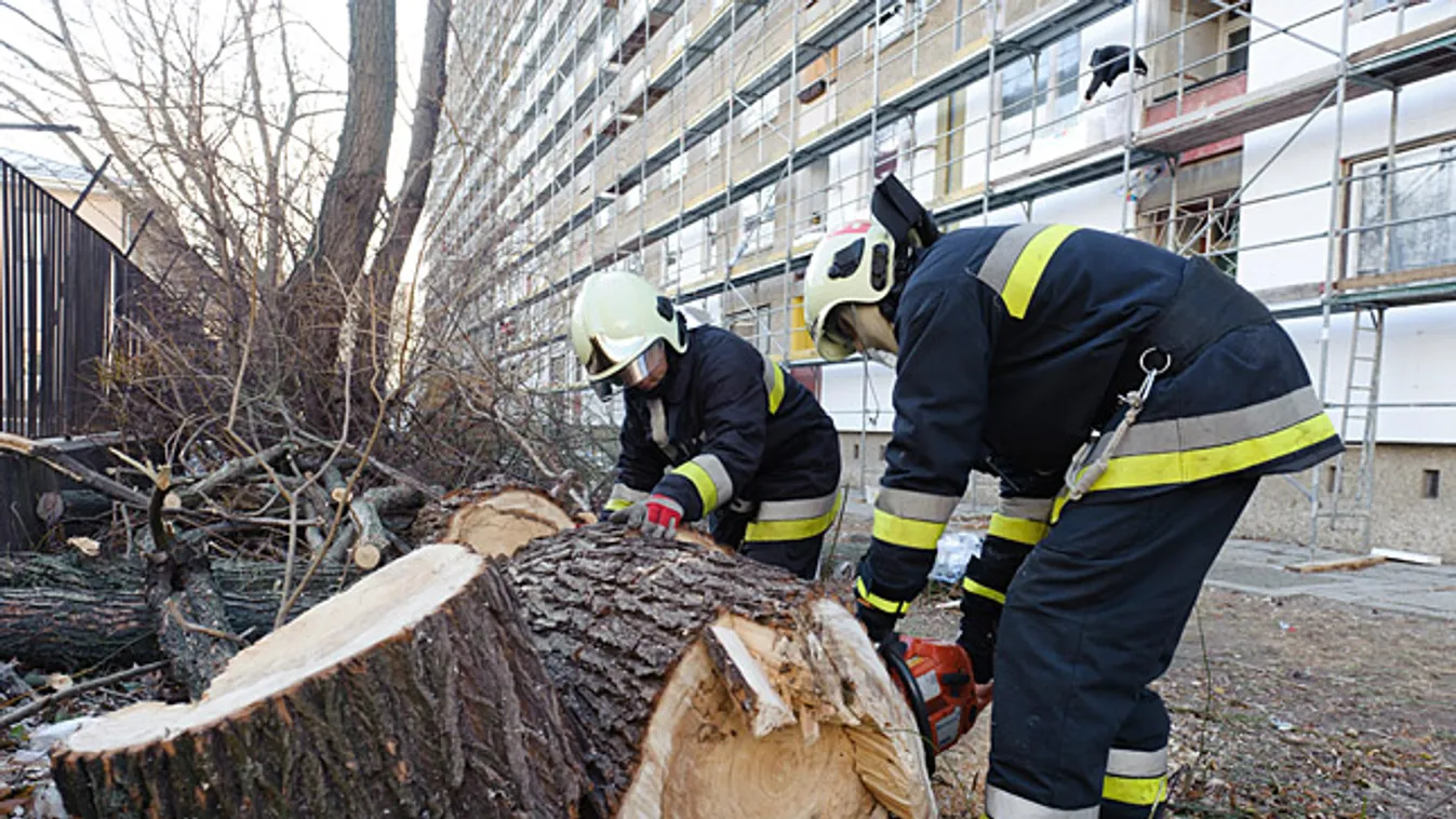 szélvihar, fa dőlt egy óvodára Egerben, Tűzoltók dolgoznak a Benedek Elek Óvoda kerítése mellett