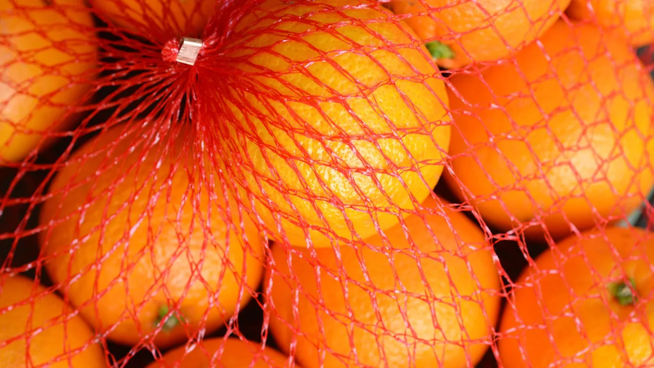 narancs, narancsháló 