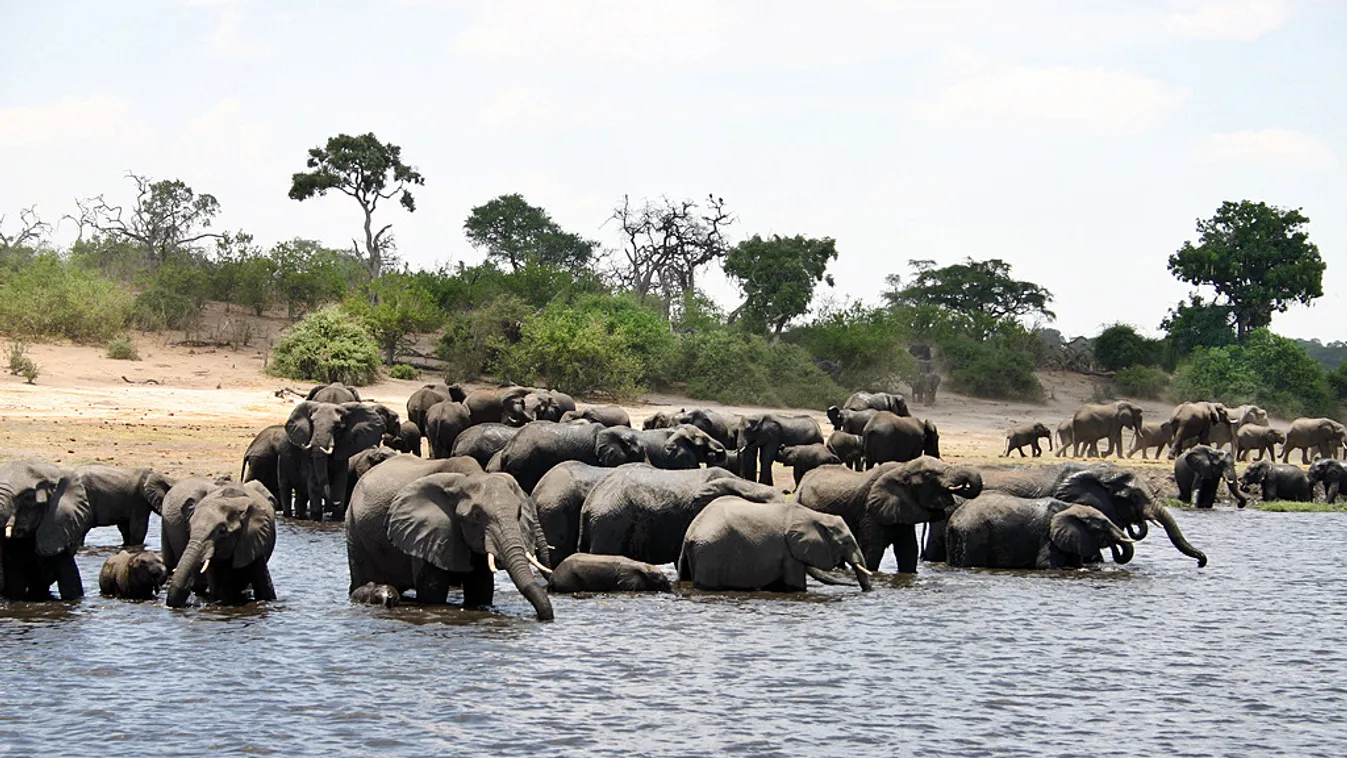 Kavango Zambezi Transfrontier Conservation Area 