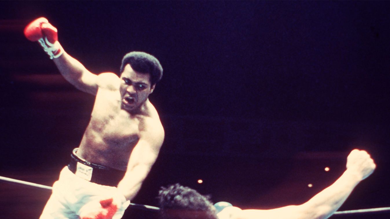 Szomorú félév volt! Sok hírességtől búcsúztunk Muhammad Ali 