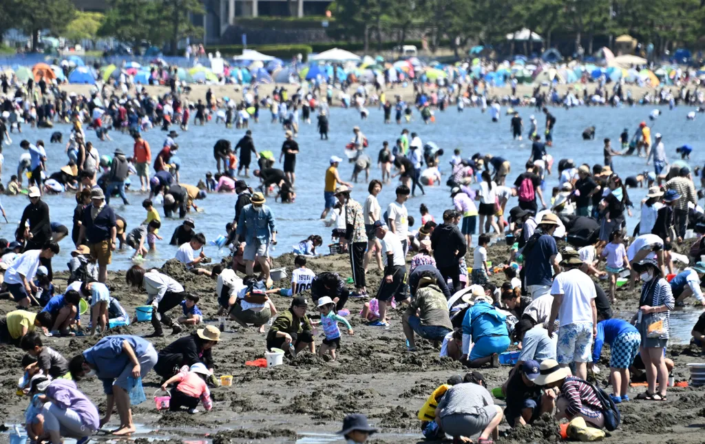 Kagylóásás Jokohama strandján 