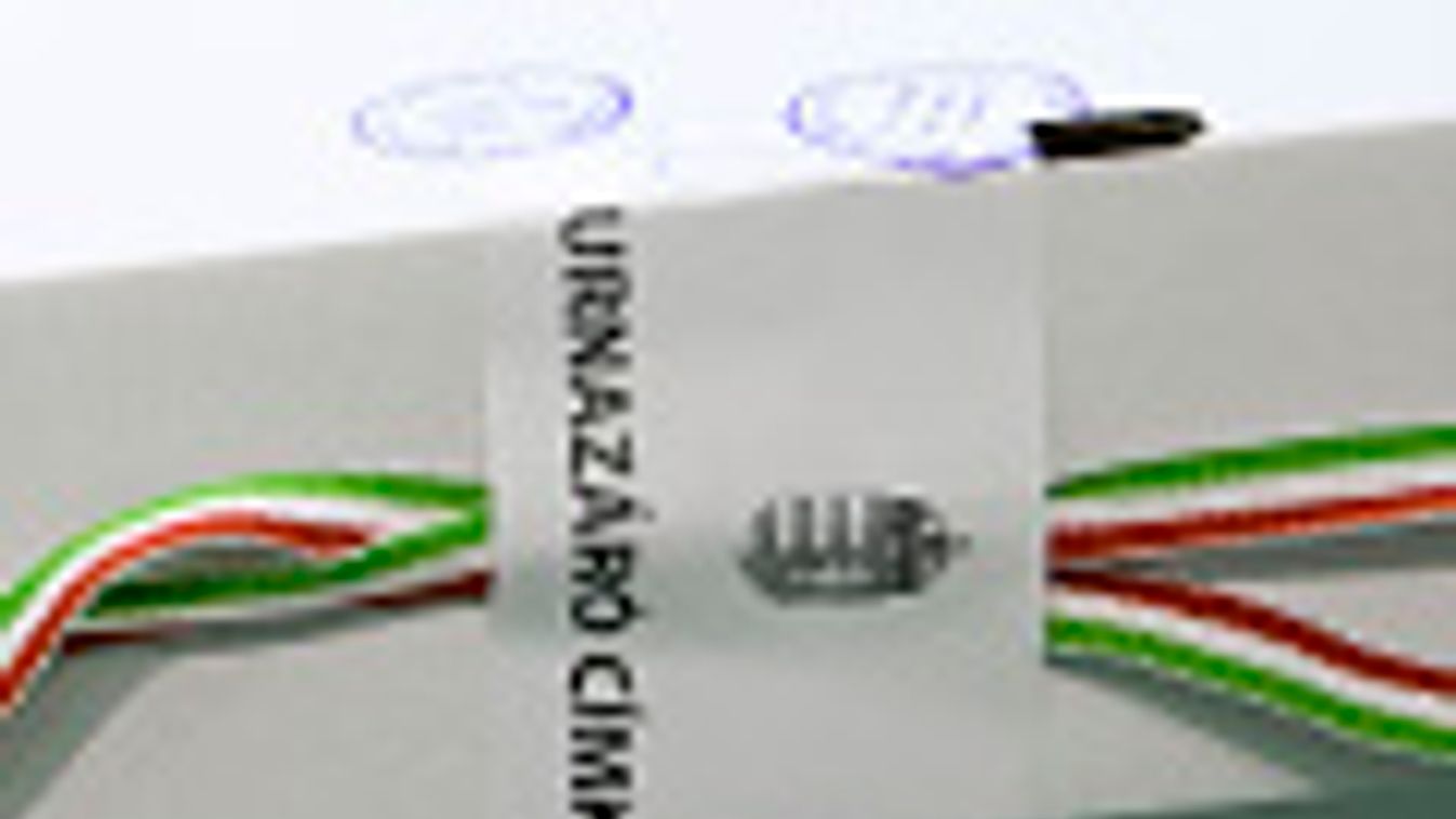 önkormányzati választások 2010, szavazás, urna 