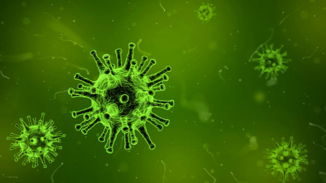 Így védekezz az influenza és szövődményei ellen 