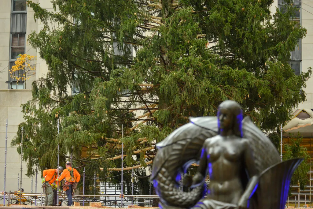 79-foot Christmas Tree Arrives In New York City's Rockefeller Center NurPhoto General news November 13 2021 13th November 2021 Rockefeller Plaza Trees Horizontal, Karácsonyfa 