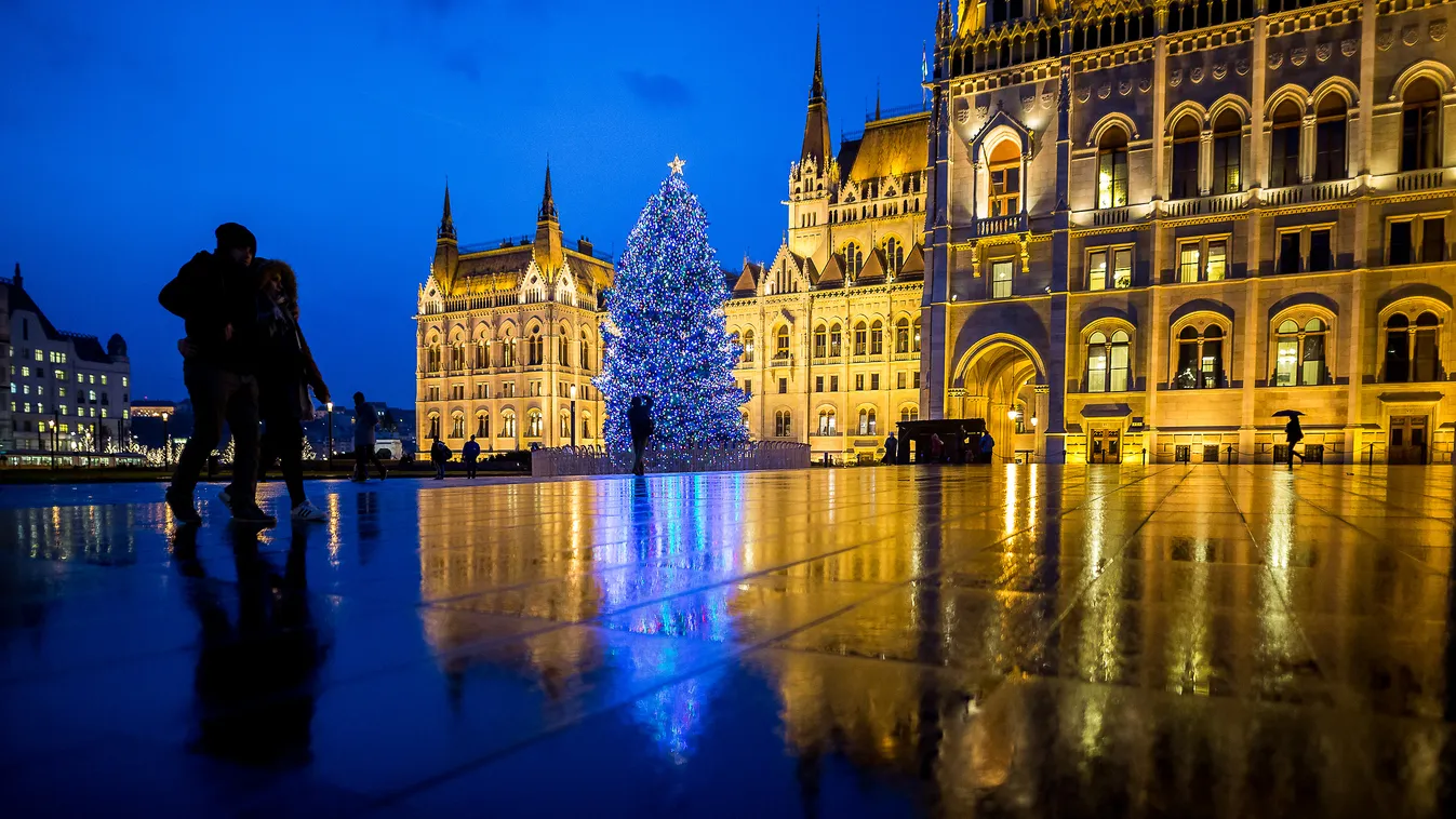 Az ország karácsonyfája Ezüstfenyő Karácsony Kivágták Sárszentmihály-Budapest 