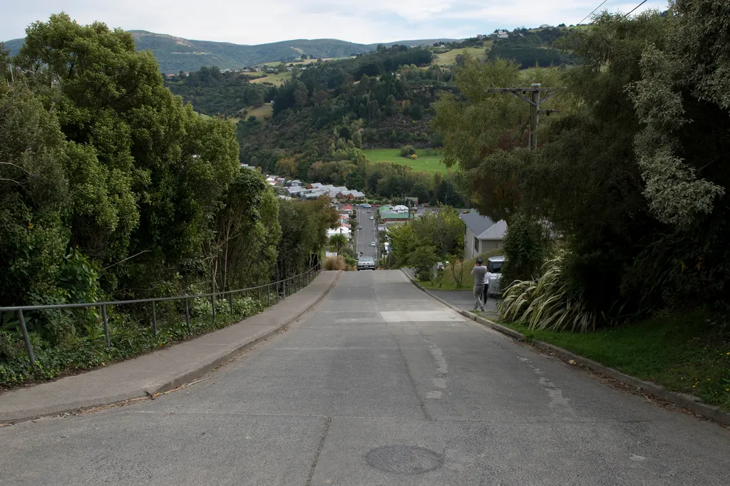 Baldwin Street Dunedin 