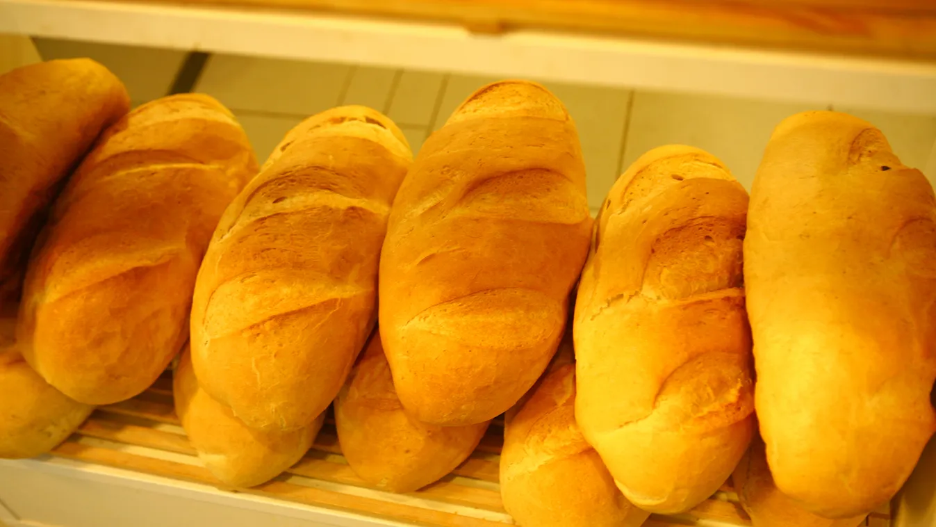 kenyér kenyérbérlet szociális támogatás málta 