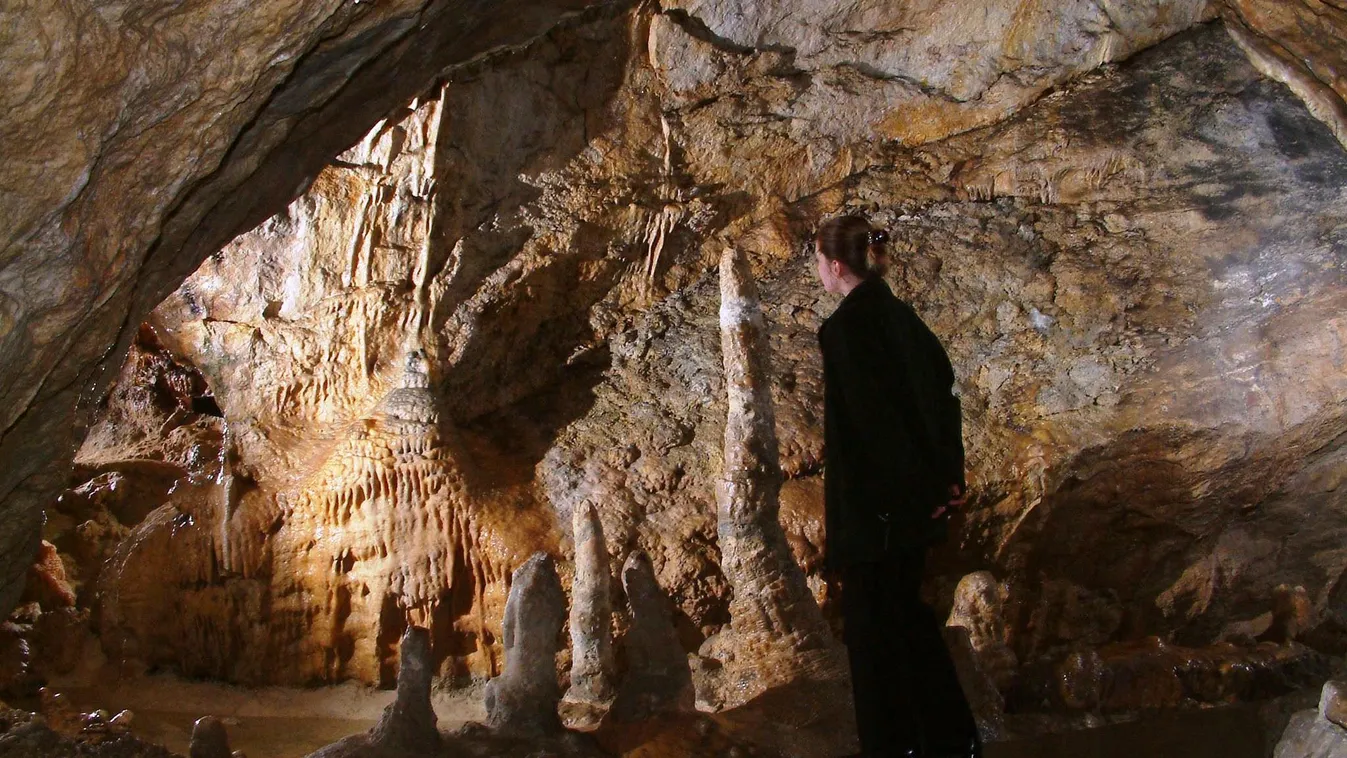 A Pál-völgyi-barlang 