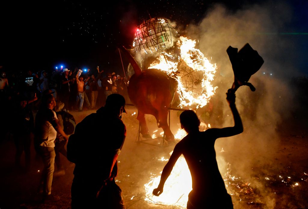 Nemzeti Pirotechnikai Fesztivál Mexikóban, Látványos, de cseppet sem veszélytelen tűzijáték-fesztivál Mexikóban, galéria, 2023 