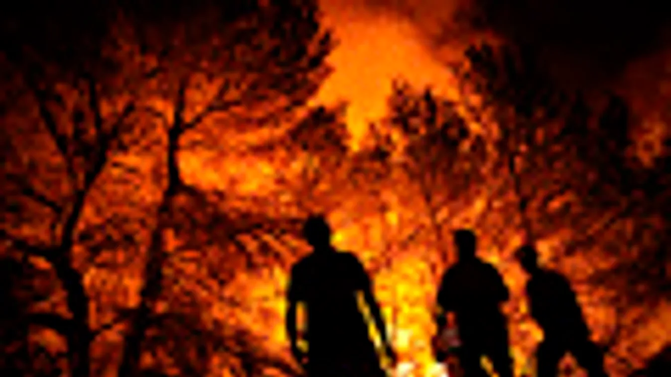 a hét képei, erdőtűz, erdőtüzek Alicante közelében, tűzoltók
