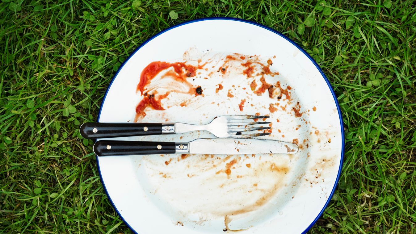 High angle view of dirty plate with knife and fork on a lawn. EMPTY PLACE Nobody Dirty England HORIZONTAL Colour Image Photography CLOSE-UP High Angle View Directly Above Grass Family GRASS FOOD CUTLERY Silverware Table Knife FORK DISH PLATE GROUNDS Lawn 