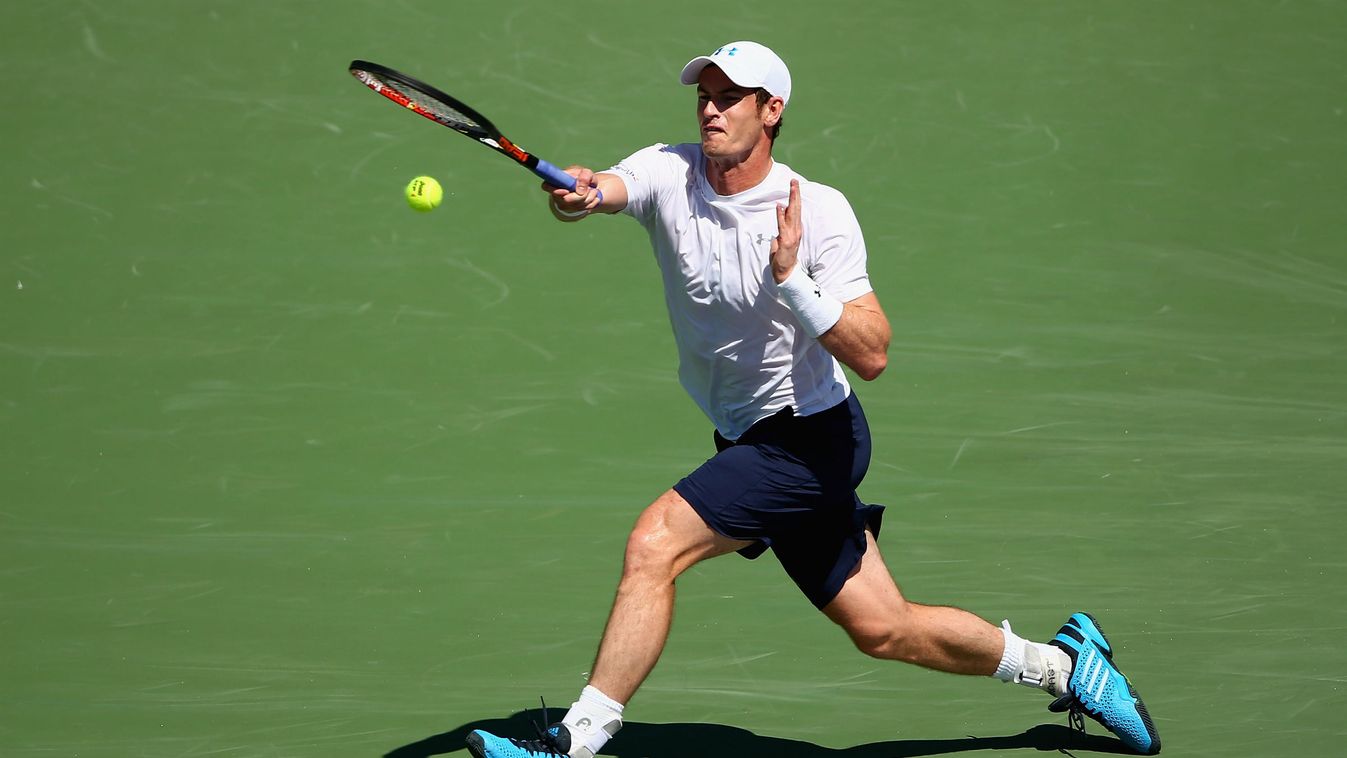 Andy Murray, tenisz 