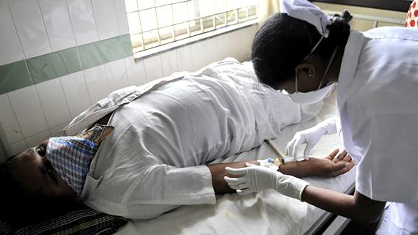 Sertésinfluenza járvány Indiában, H1N1, 2010 