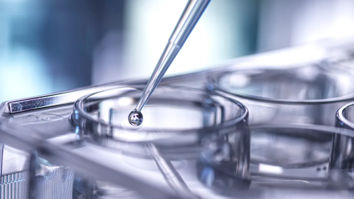őssejt laboratórium Pipetting sample Biotechnology biomedical biochemical STEM analysis biochemistry BIOLOGY biomedicine pipette pipetting multi WELL PLATE cell research CHEMISTRY CANCER pharmaceutical experiment genetics medical 