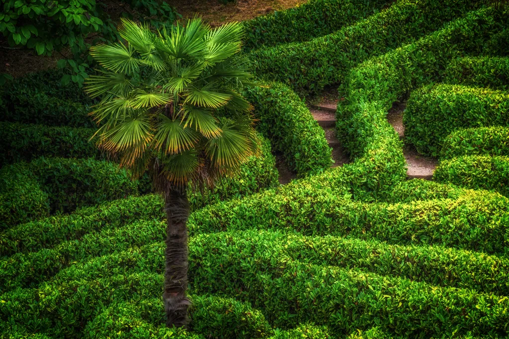 Egzotikus növényei és 180 éves labirintusa teszi különlegessé ezt az angliai kertet, galéria, 2023 