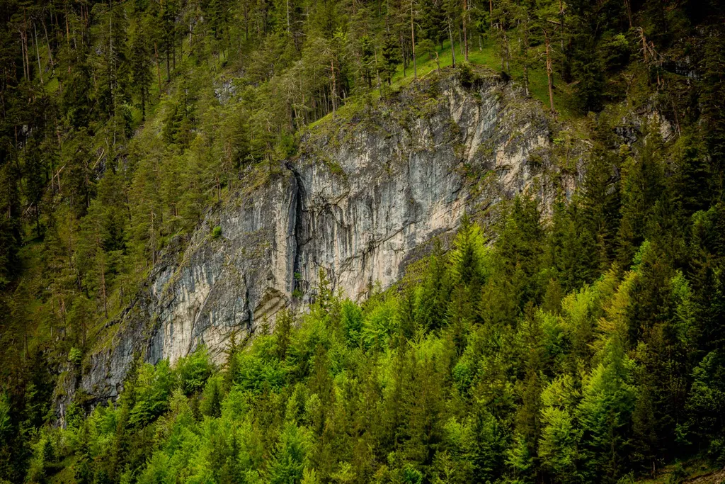 Magyar Labdarúgó Szövetség, edzőtábor, Ausztria, Hotel Gut Brandlhof, Hohlwegen, 2021.05.27. 