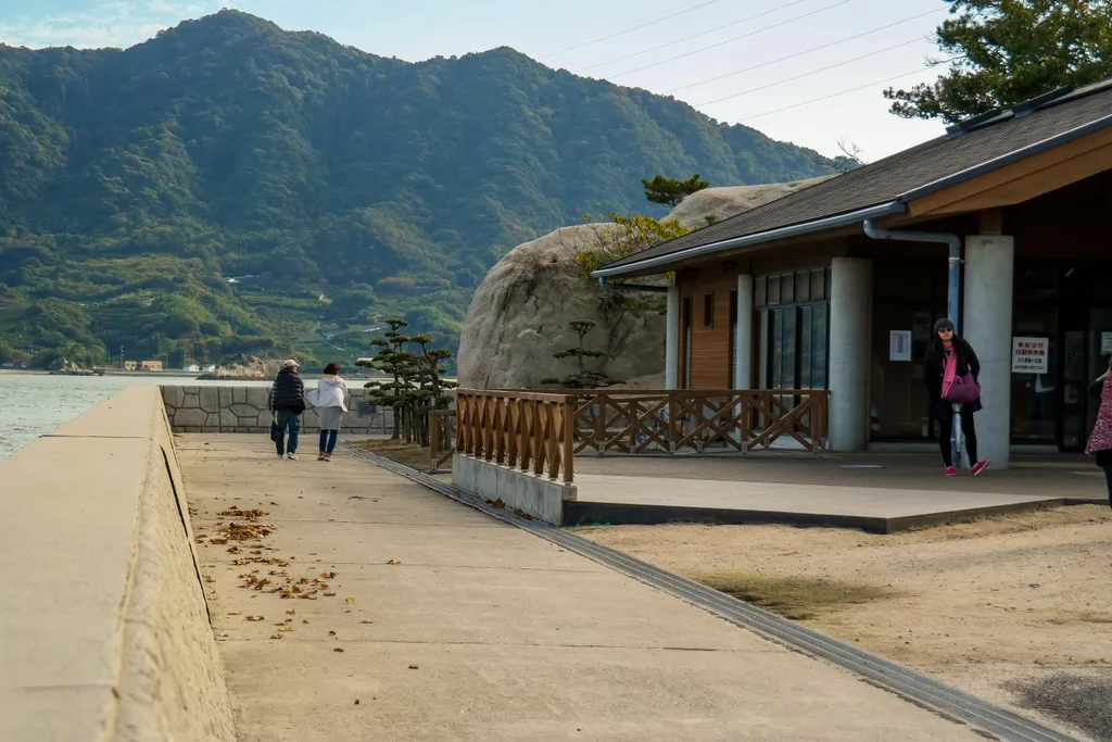 Ökunoshima-sziget, Japán, Nyúlak, Nyúl, 